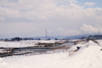 熊野川　3.12　2015