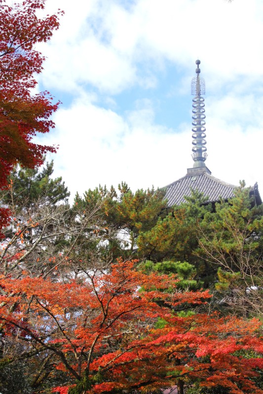 奈良公園_004.jpg