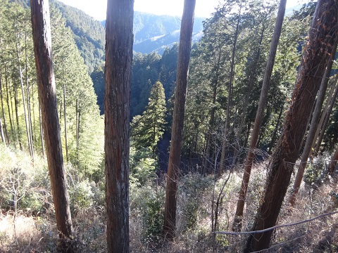 DSC07504.JPG