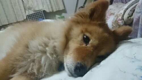rblog-20161203165230-03.jpg