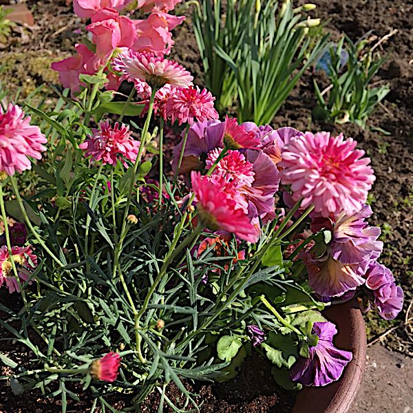 rblog-20180511161610-03.jpg