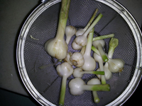20120610_172541.jpg