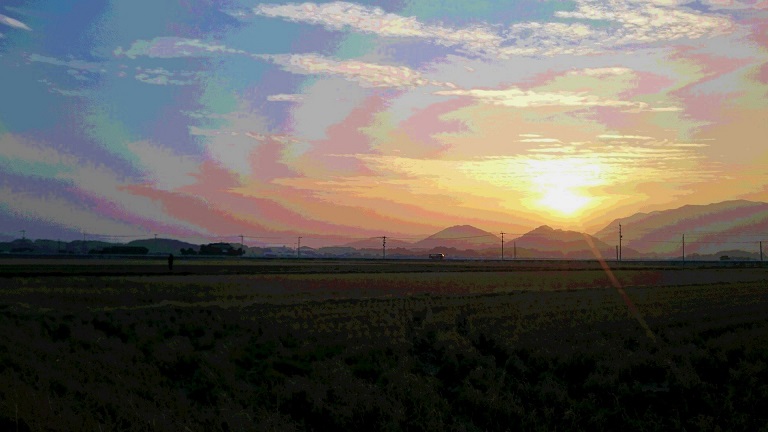 DSC_2241.JPG