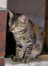 IMG_3730-7.jpg