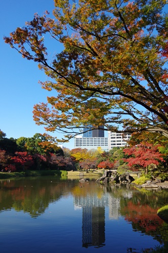 小石川後楽園