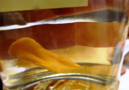 20140131 matsutake shu 5.jpg