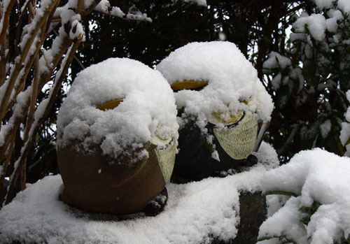 雪の朝　28.1.19-6.jpg