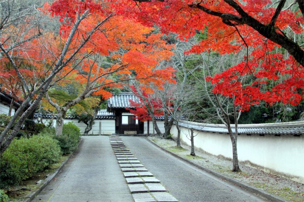 IMG_6654金剛寺.jpg