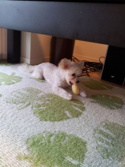 クレアちゃん