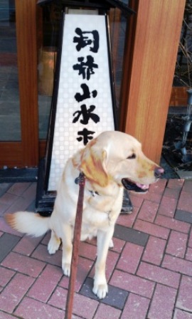 洞爺湖10.jpg