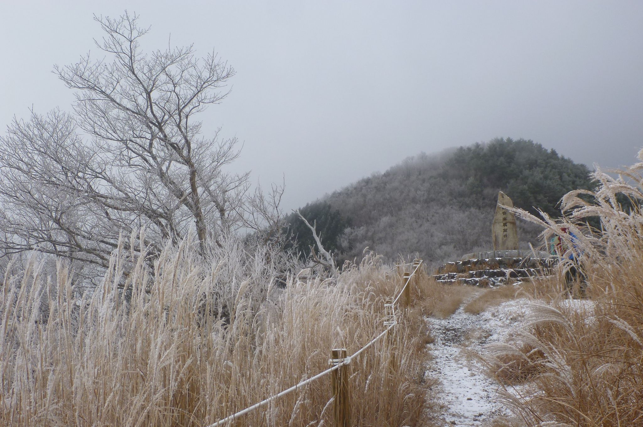 2018年12月9日 観音峰山（1348m） | 和歌♡山オバチャンの日記 - 楽天ブログ