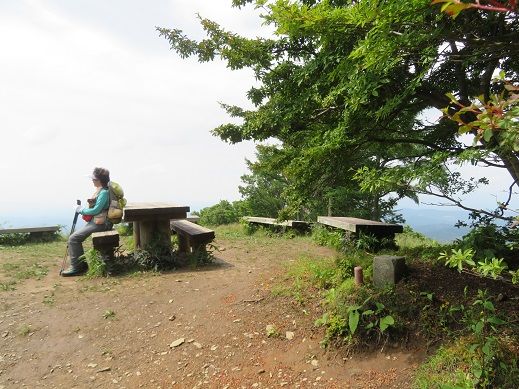 寧比曽岳・・・東海自然歩道がとおる山 | KIKIの山行き・・・ 山と山の花 - 楽天ブログ