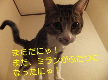 20121111_2.jpg