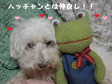 仲良し