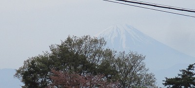 IMG_2873ss.jpg