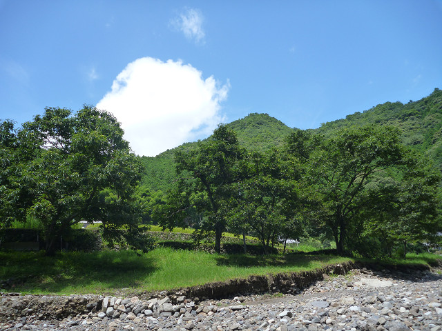 resize2600.jpg