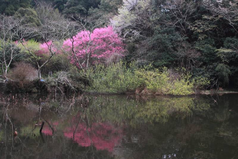 山の辺の道_002.jpg