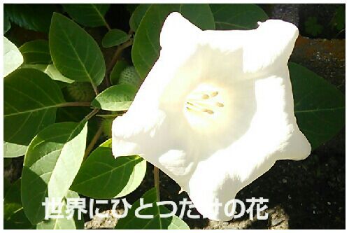 rblog-20161016192146-00.jpg