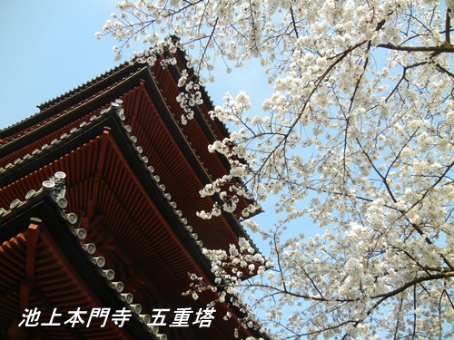 池上本門寺