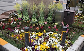 IMG_8271-3.jpg