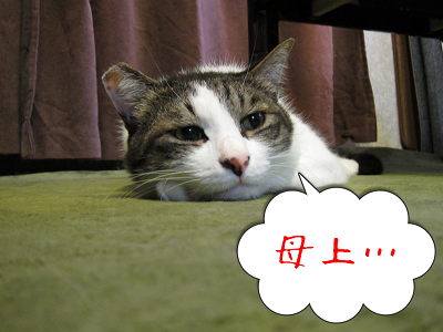 y89S0Q1M7llL6x_1371697741_1371697823.png