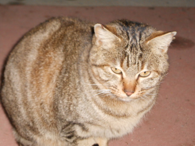 DSCN0869.JPG