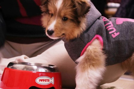 1425886821436 (2).jpg