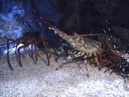 東京スカイツリー 078.jpg