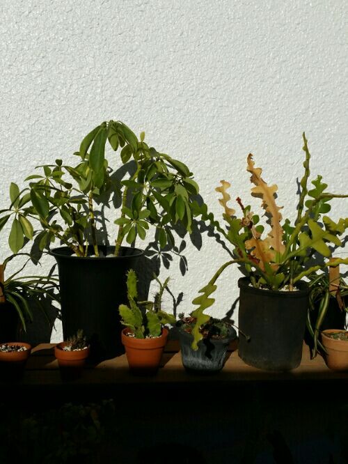 rblog-20170101153602-04.jpg