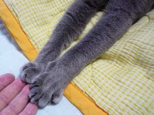 P1240625 - コピー.JPG