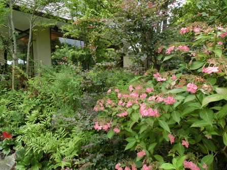 那須
