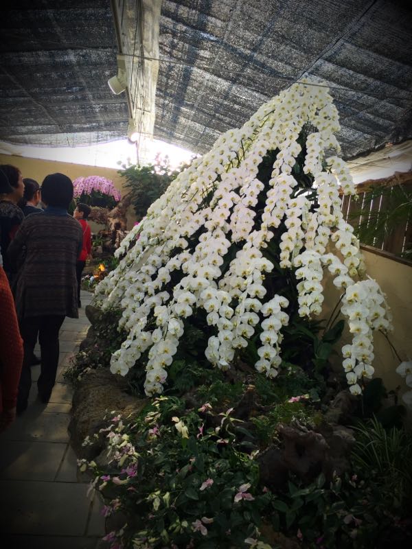 rblog-20160308151634-03.jpg