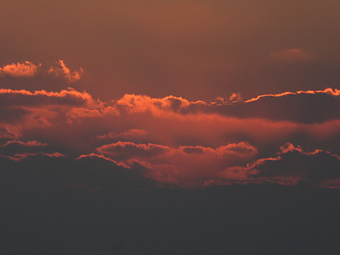 IMG_8066.jpg