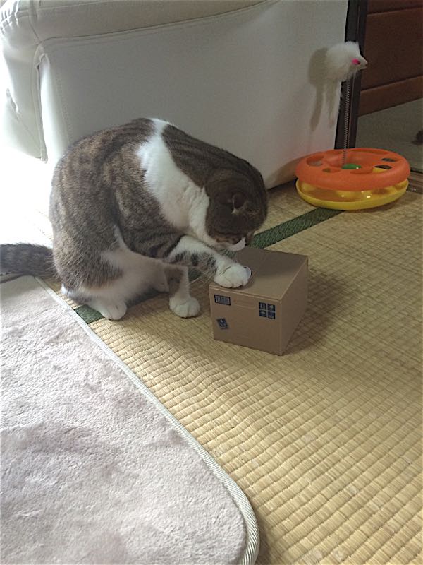 rblog-20151011185115-02.jpg