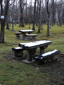 2017-11-17mori3 (1).JPG