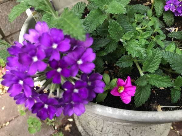 rblog-20180429182659-09.jpg