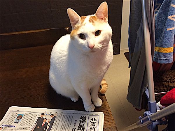 rblog-20141118063213-02.jpg