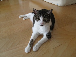 IMG_6450ss.jpg