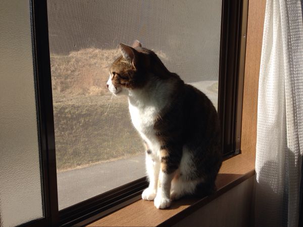 rblog-20140105133252-01.jpg