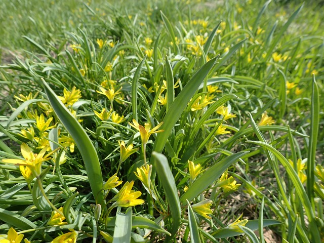 P4181205.jpg