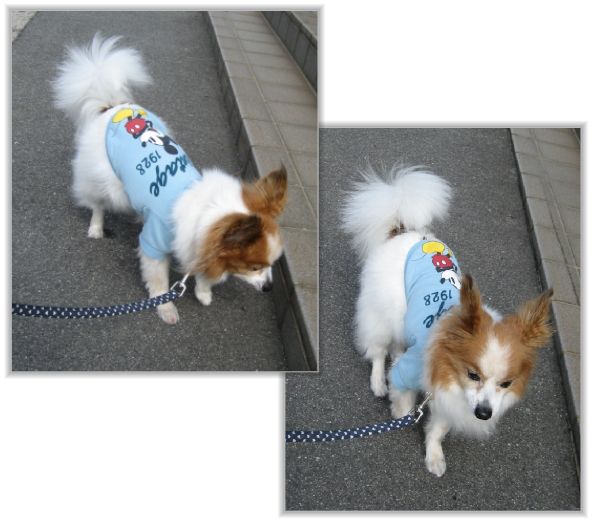 20130501p