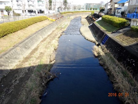 ８湯殿川京王線高架.JPG