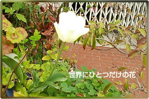 rblog-20160415062532-00.jpg