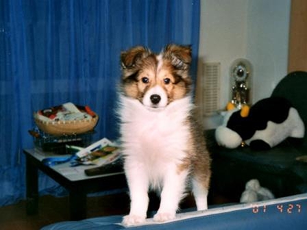 img116.jpg