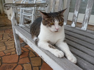 P1070095ss.jpg