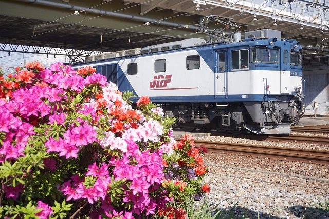 リゾ－ト｢ゆう｣ & DE10 1654田端 & EF64 1013鹿島6