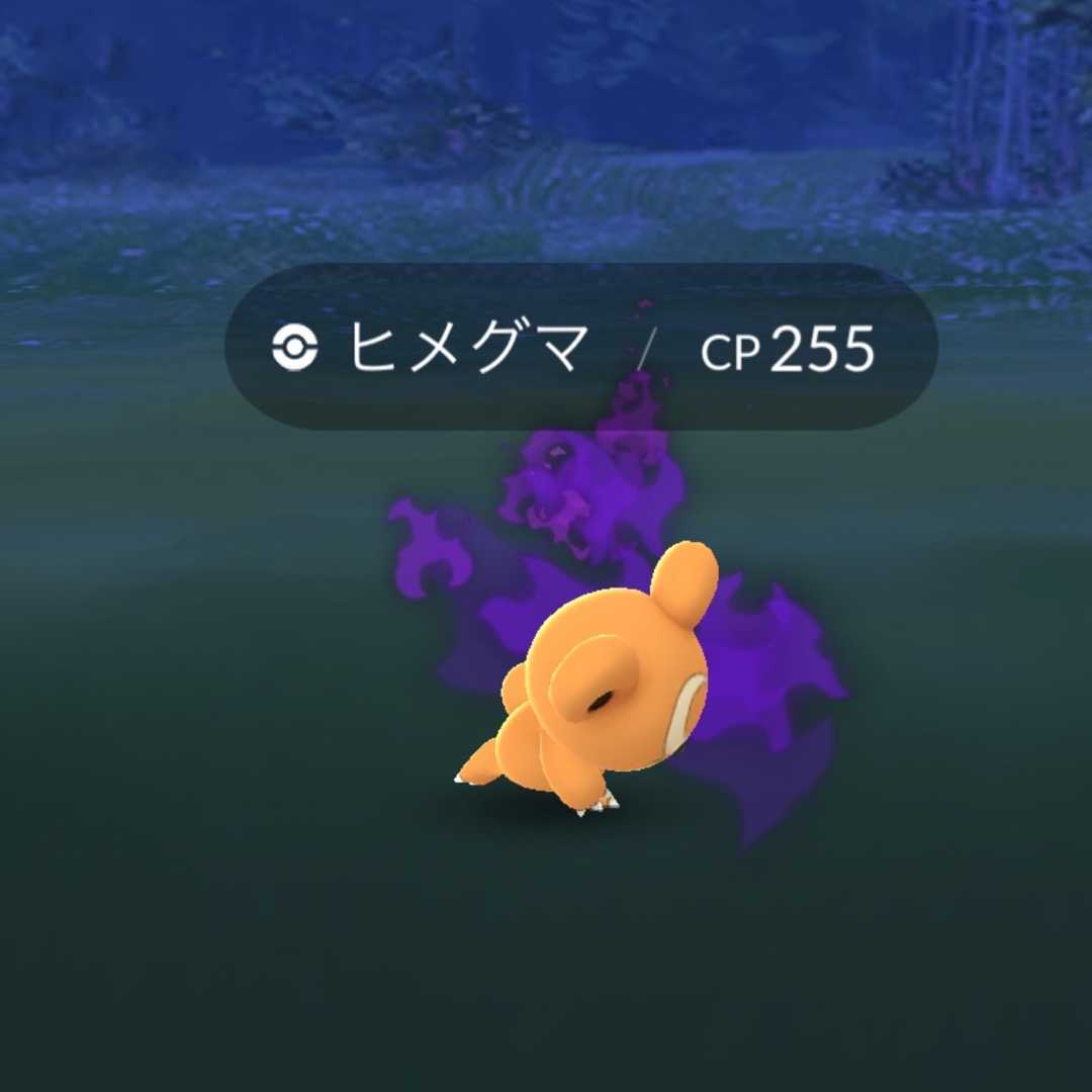 2ページ目の記事一覧 一筆啓上ヒメグマ日記 楽天ブログ