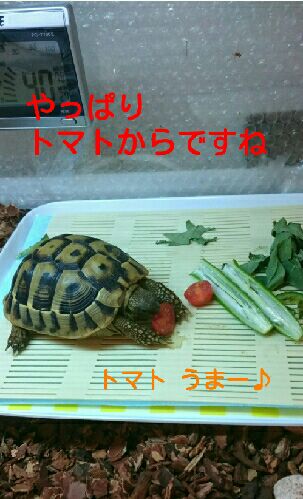 rblog-20151029134516-03.jpg