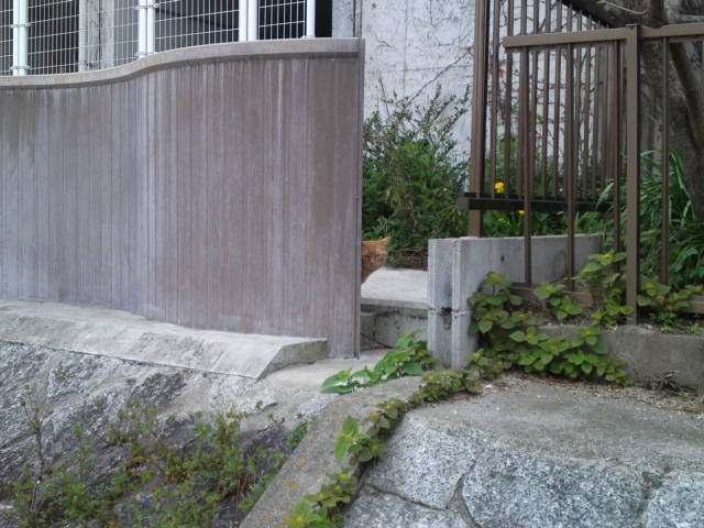 2012-04-16 05:53:54