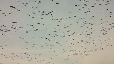 20151227_153315.jpg